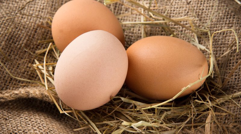 Яйца и здоровое питание