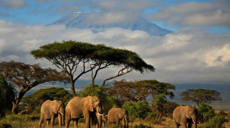 Кения – страна для любителей экотуризма